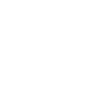 INTERNAL CONSTRUCTION company mission